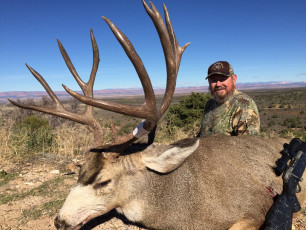 Barton Harold AZ Draw