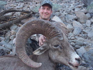 Degennero Frank MX Sheep