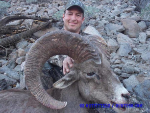 Degennero Frank MX Sheep