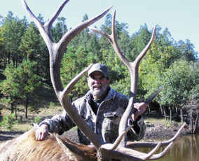 2007_Cory_Adkins_Elk