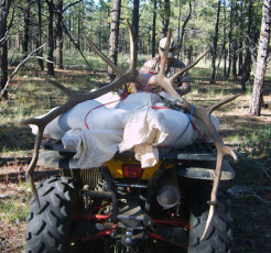Packin' Out on the 4-Wheeler